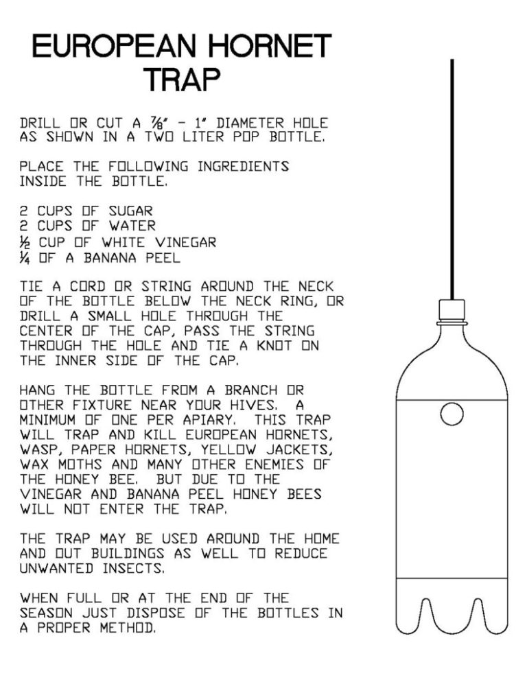 EUROPEAN HORNET TRAP | Jackson County Beekeepers