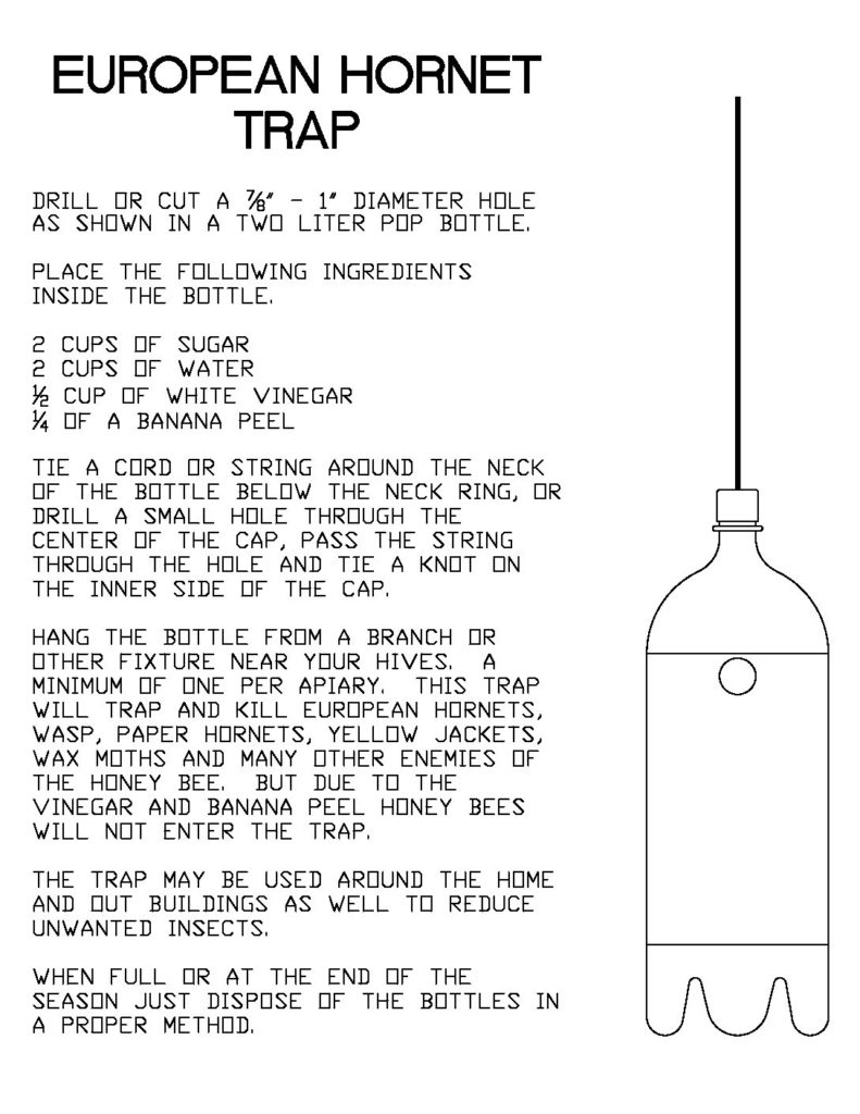 EUROPEAN HORNET TRAP | Jackson County Beekeepers